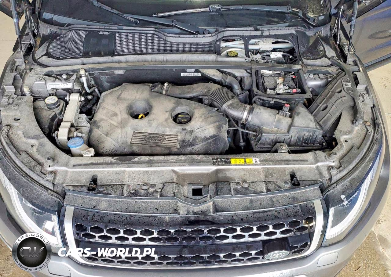 2017 Land Rover Range Rover Evoque Se VIN:SALVP2BG9HH173481 - 11