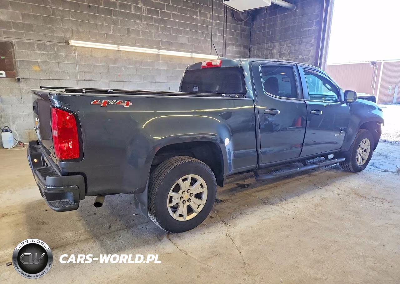 2019 Chevrolet Colorado Lt VIN:1GCGTCEN3K1207992 - 3
