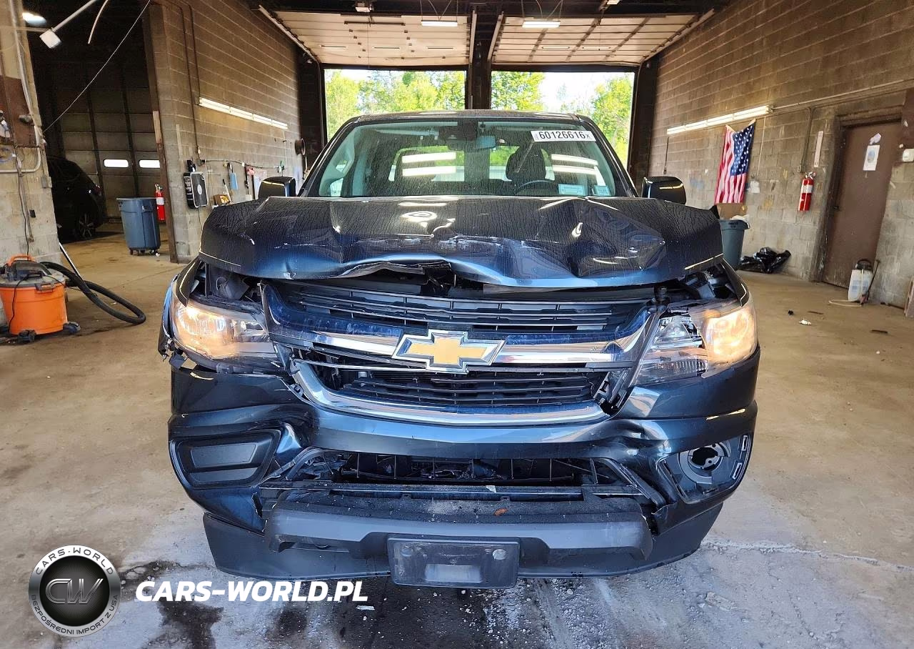 2019 Chevrolet Colorado Lt VIN:1GCGTCEN3K1207992 - 5