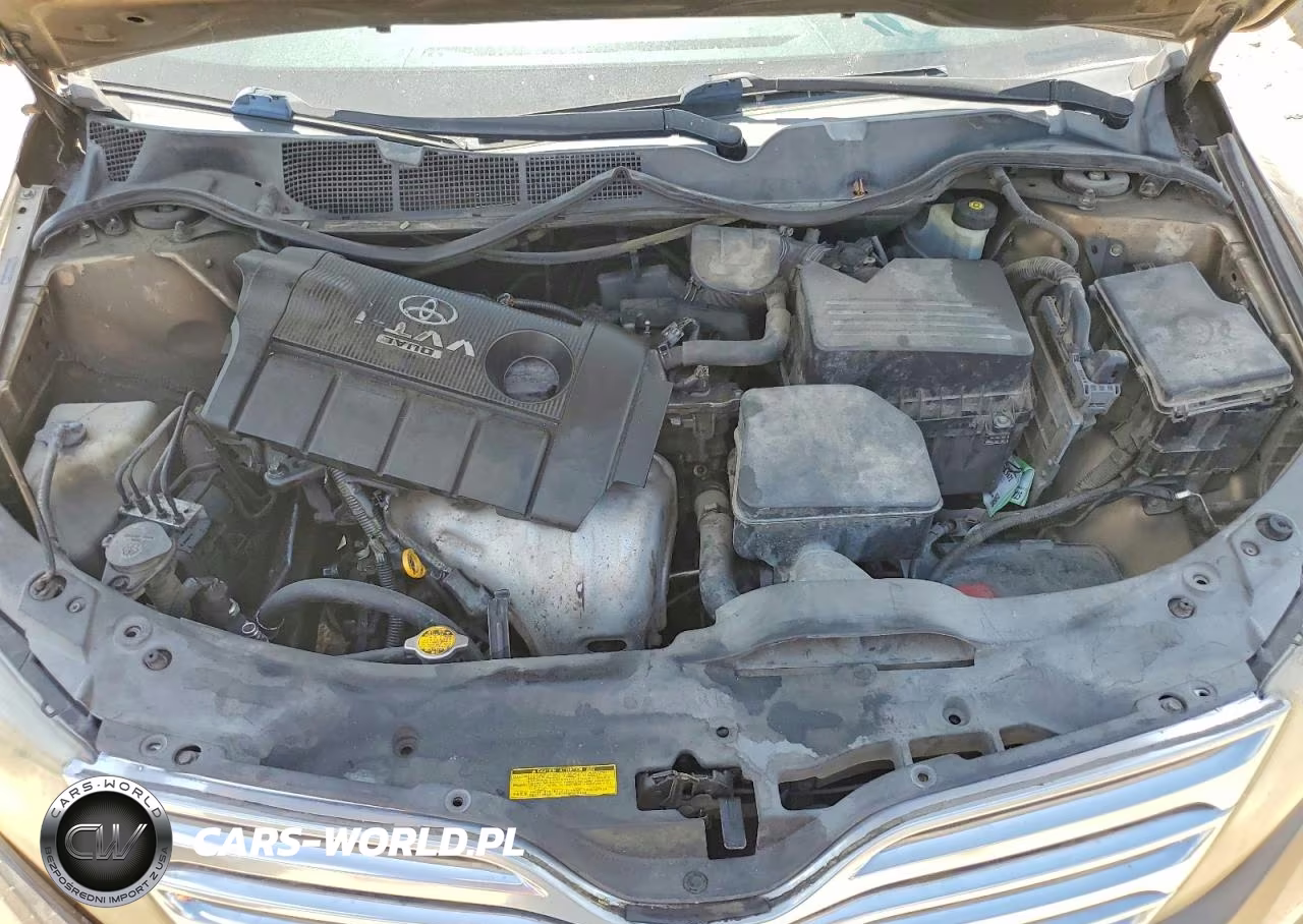 2009 Toyota Venza Fwd 4Cyl VIN:4T3ZE11A79U016310 - 11