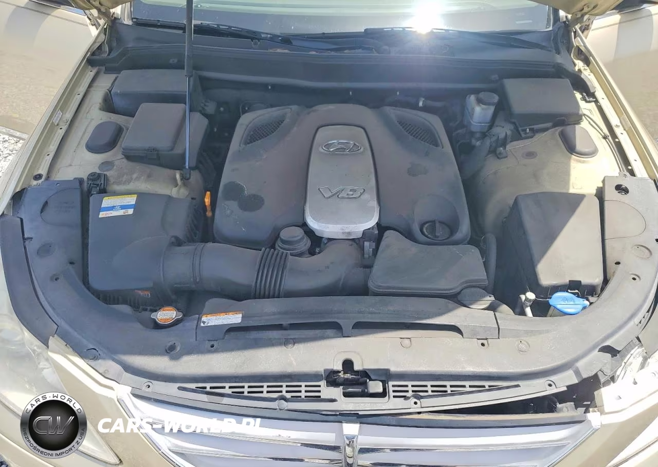 2011 Hyundai Genesis 4.6L VIN:KMHGC4DF7BU119036 - 11
