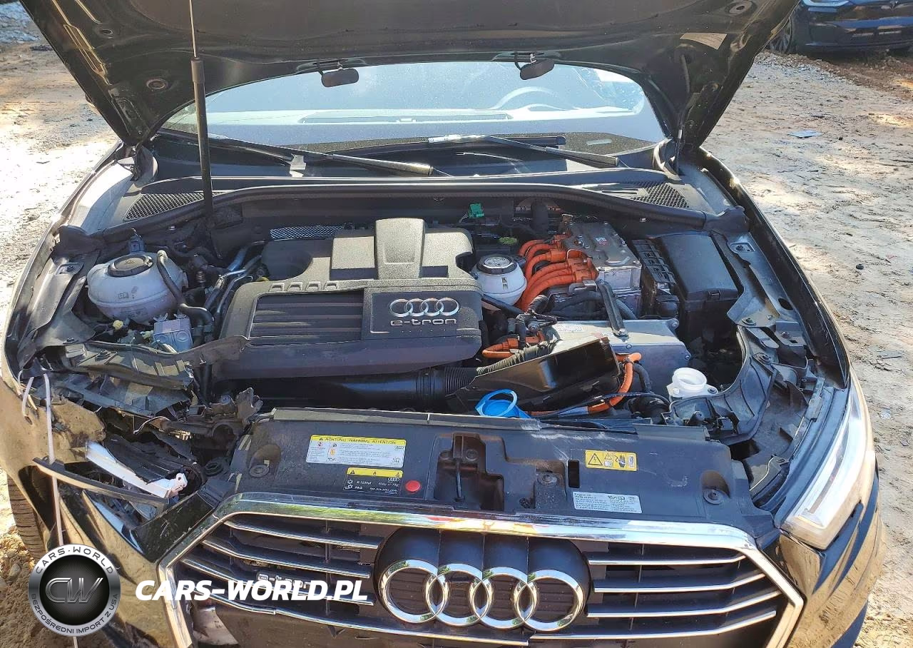 2018 Audi A3 E-Tron Premium Plus VIN:WAUTPBFF7JA075951 - 12