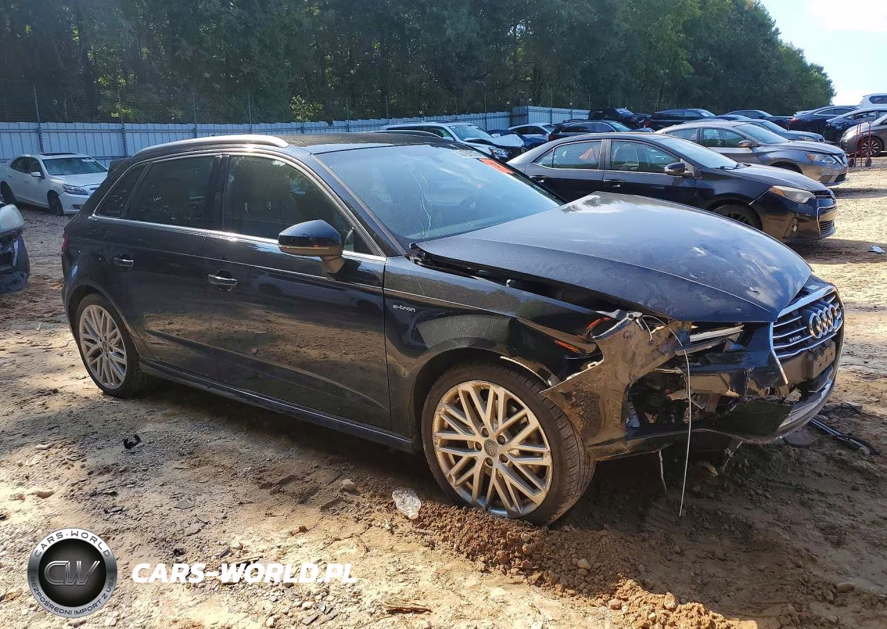 2018 Audi A3 E-Tron Premium Plus VIN:WAUTPBFF7JA075951 - 4