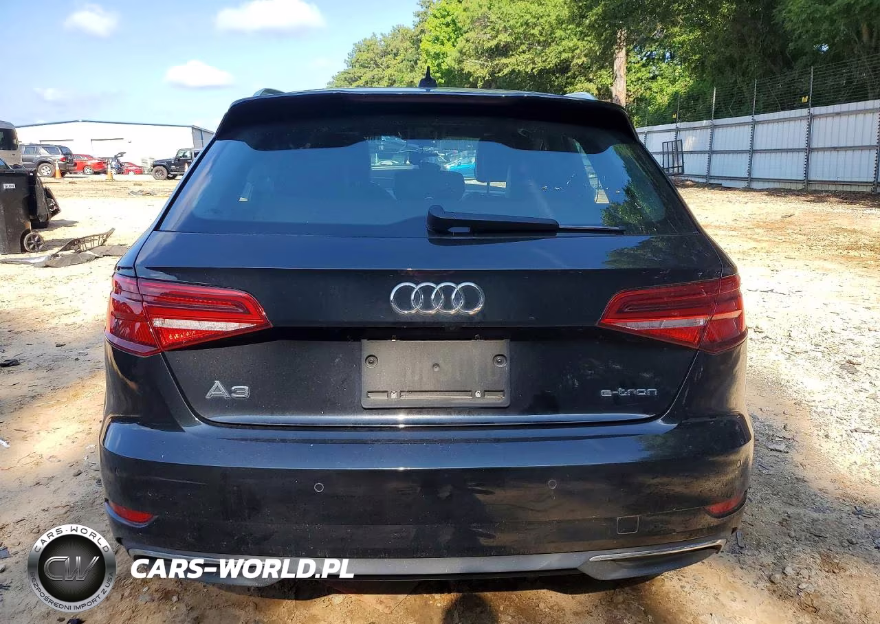 2018 Audi A3 E-Tron Premium Plus VIN:WAUTPBFF7JA075951 - 6