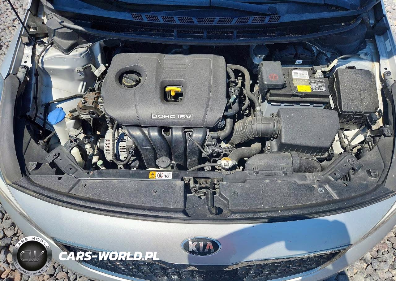 2017 Kia Forte Lx VIN:3KPFK4A77HE153906 - 11