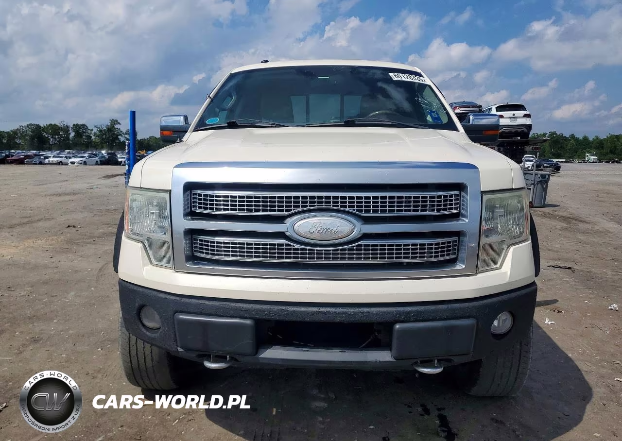 2009 Ford F150 Supercrew VIN:1FTPW14V09FA34152 - 5
