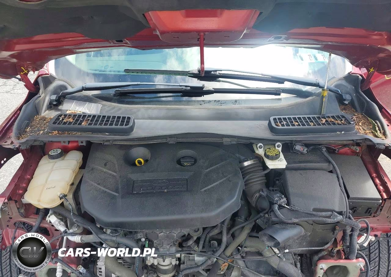2013 Ford Escape Se VIN:1FMCU9G90DUD14820 - 12