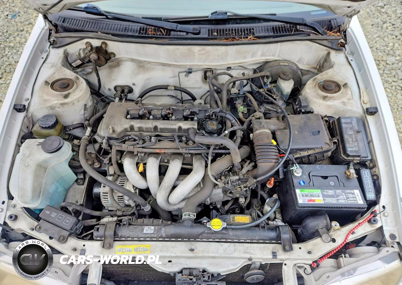 2001 Toyota Corolla Ce VIN:1NXBR12E01Z474906 - 11