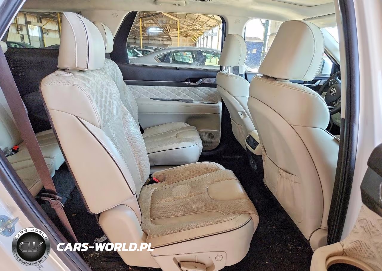 2020 Hyundai Palisade Limited VIN:KM8R54HE2LU090065 - 11