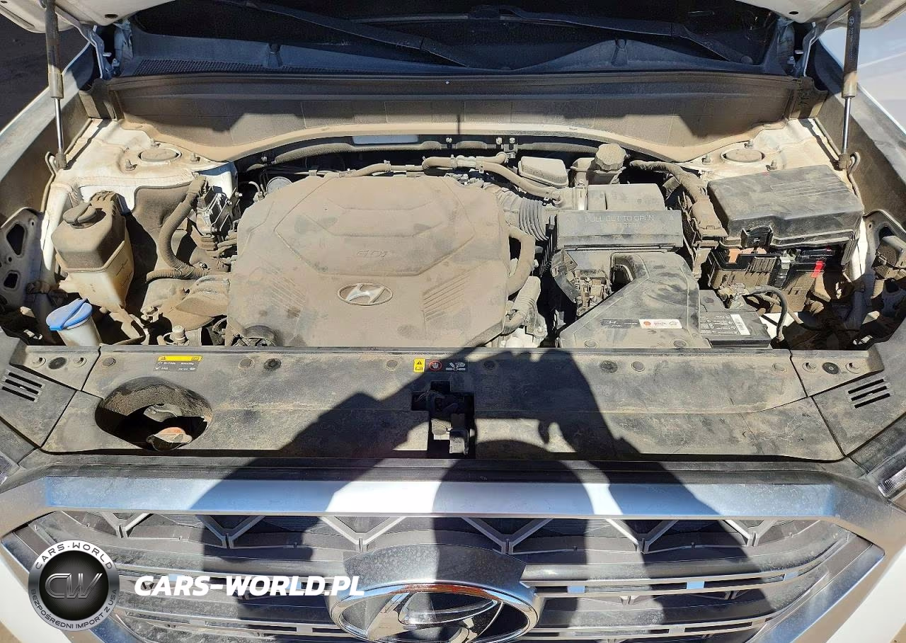 2020 Hyundai Palisade Limited VIN:KM8R54HE2LU090065 - 12