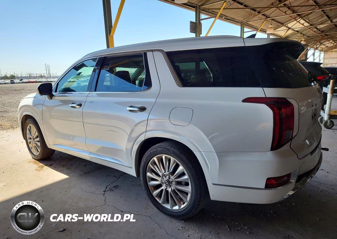 2020 Hyundai Palisade Limited VIN:KM8R54HE2LU090065 - 2