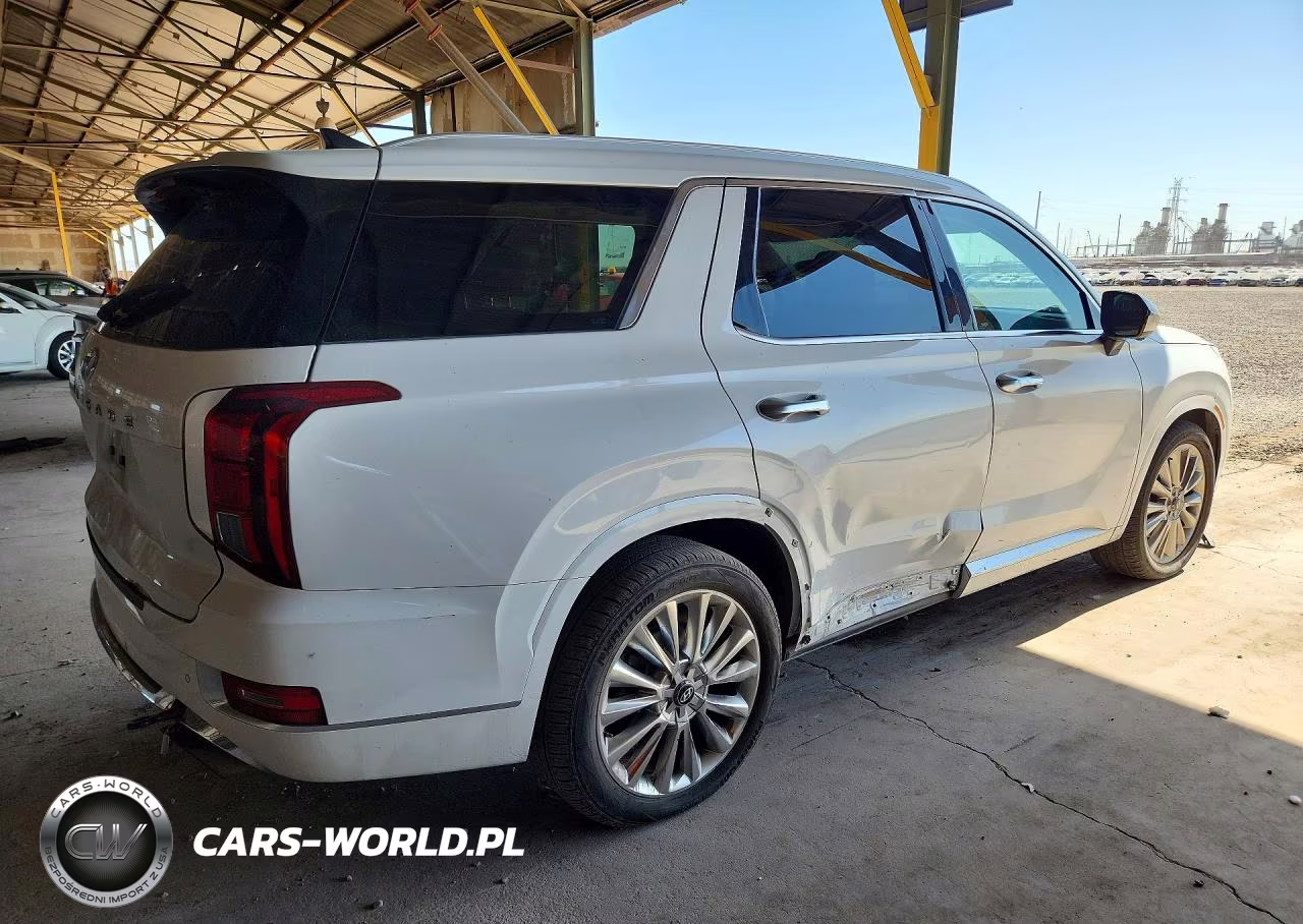 2020 Hyundai Palisade Limited VIN:KM8R54HE2LU090065 - 3