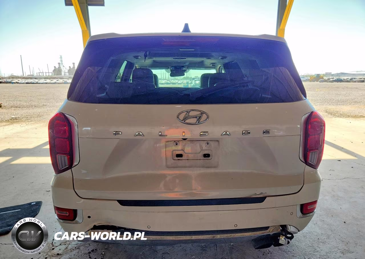 2020 Hyundai Palisade Limited VIN:KM8R54HE2LU090065 - 6