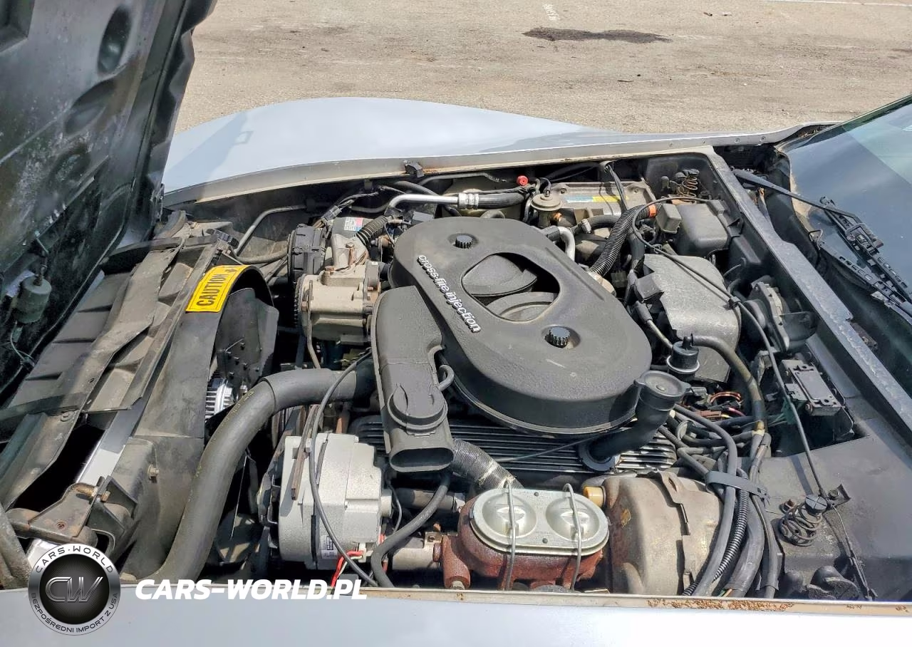 1982 Chevrolet Corvette VIN:1G1AY8781C5110515 - 11