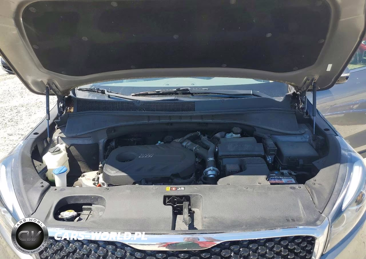 2016 Kia Sorento Ex VIN:5XYPHDA14GG145200 - 11