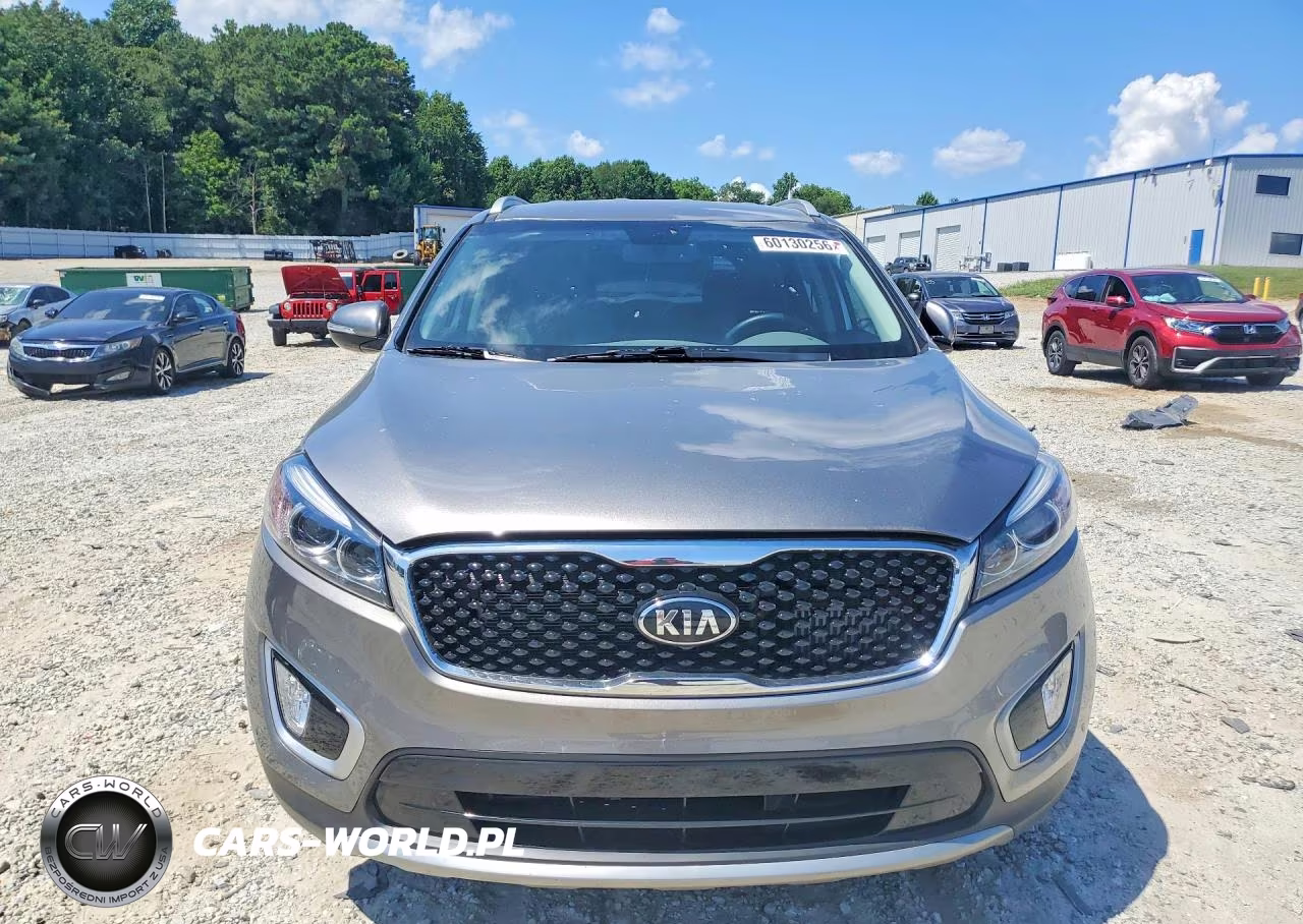 2016 Kia Sorento Ex VIN:5XYPHDA14GG145200 - 5