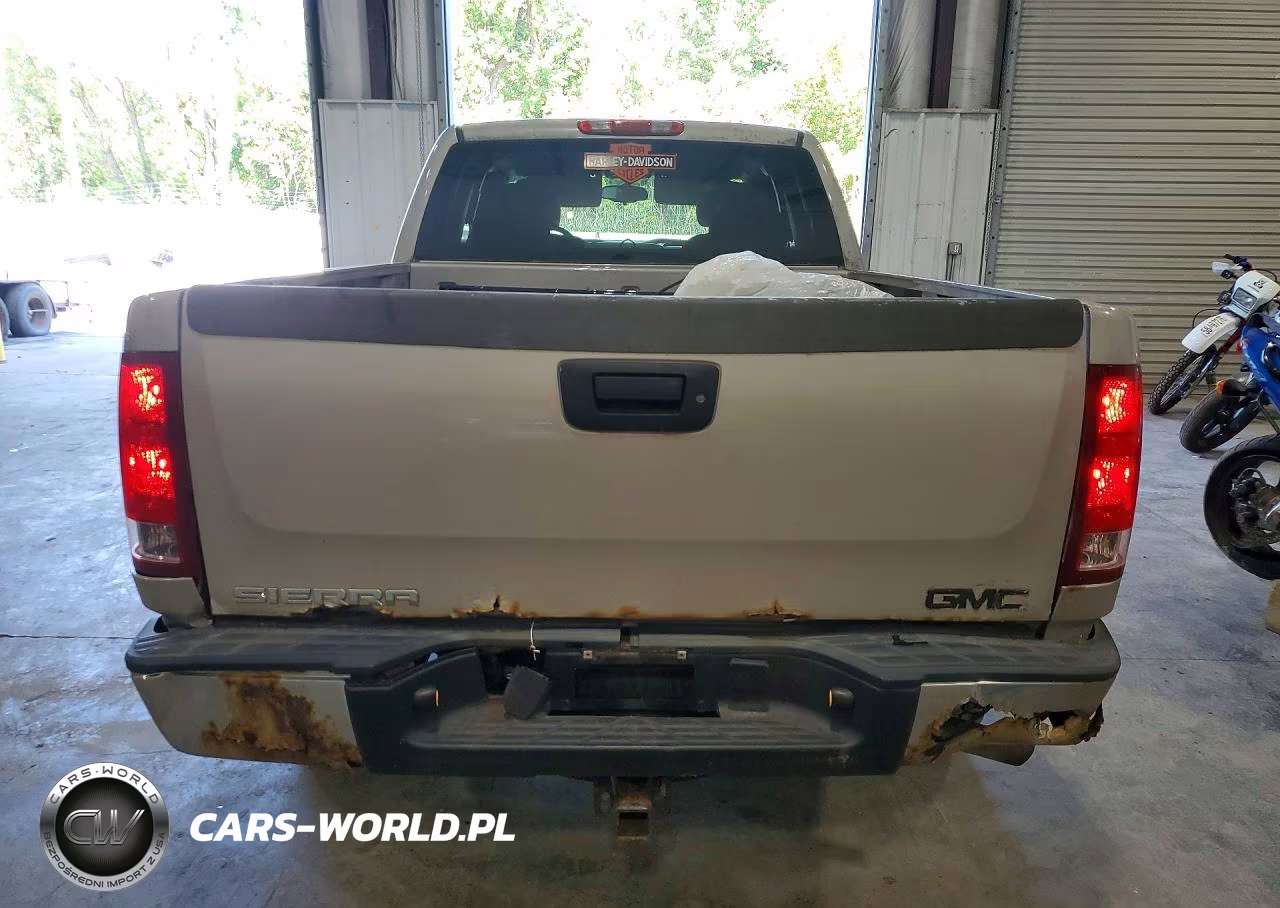 2009 GMC Sierra K1500 VIN:1GTEK19C59Z137527 - 6