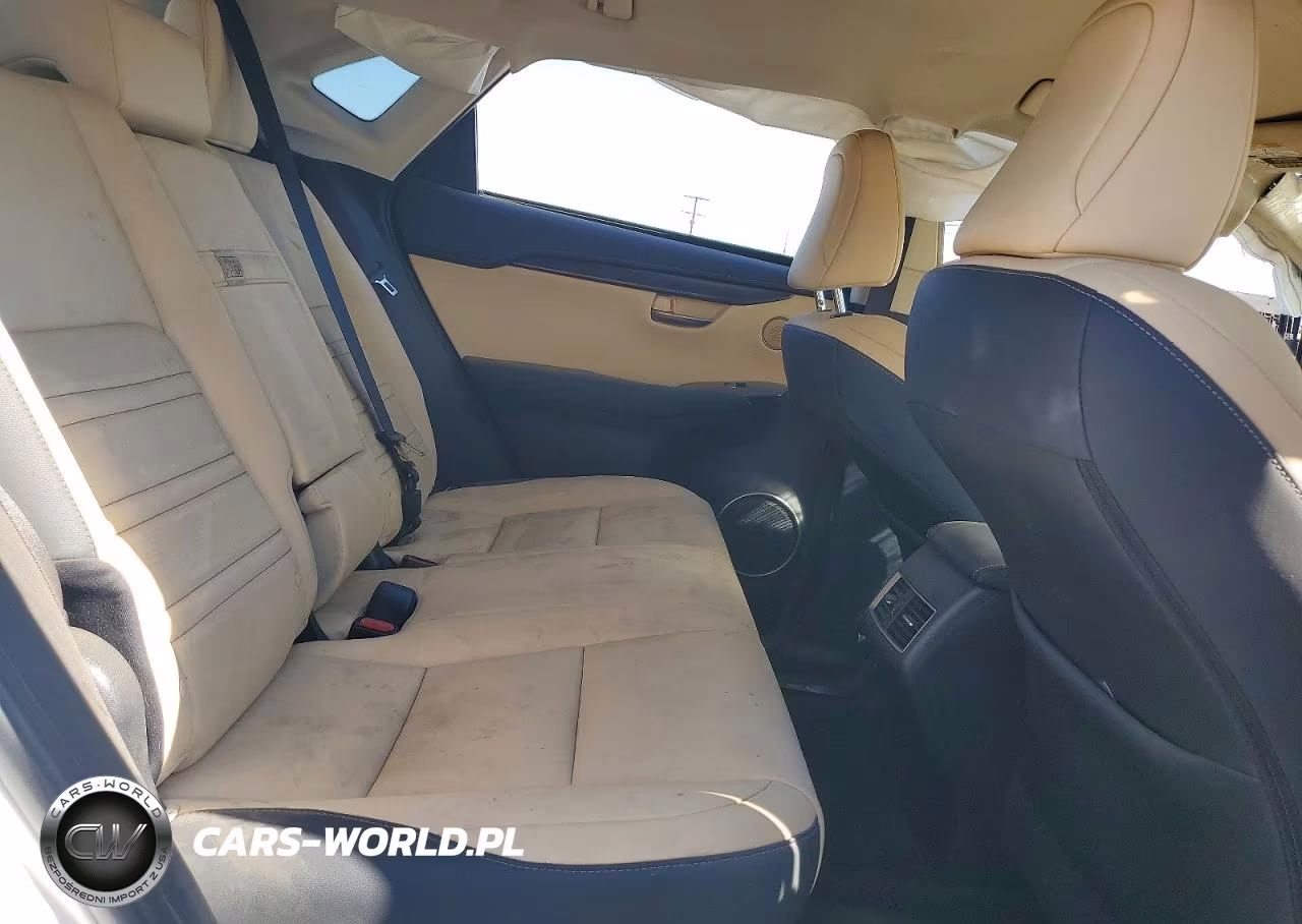 2020 Lexus Nx 300 Base VIN:JTJAARBZ6L5010294 - 11