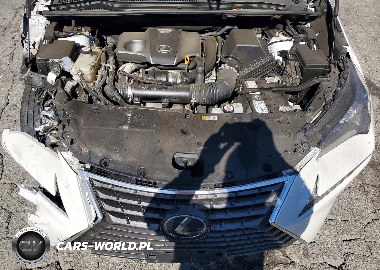 2020 Lexus Nx 300 Base VIN:JTJAARBZ6L5010294 - 12
