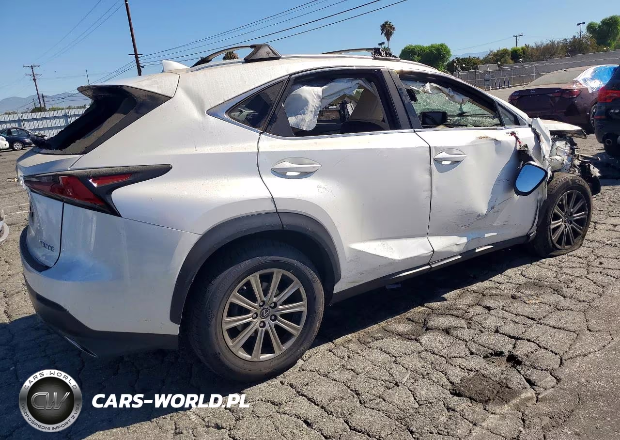 2020 Lexus Nx 300 Base VIN:JTJAARBZ6L5010294 - 3