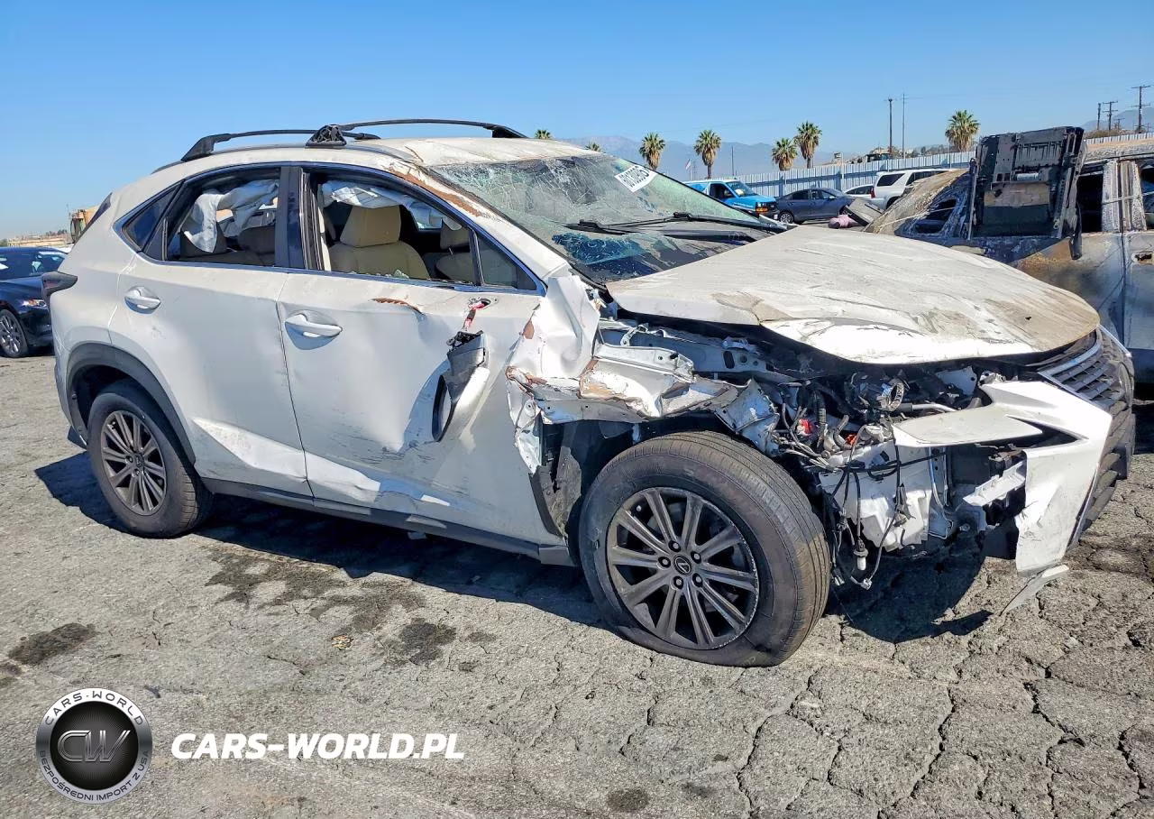 2020 Lexus Nx 300 Base VIN:JTJAARBZ6L5010294 - 4