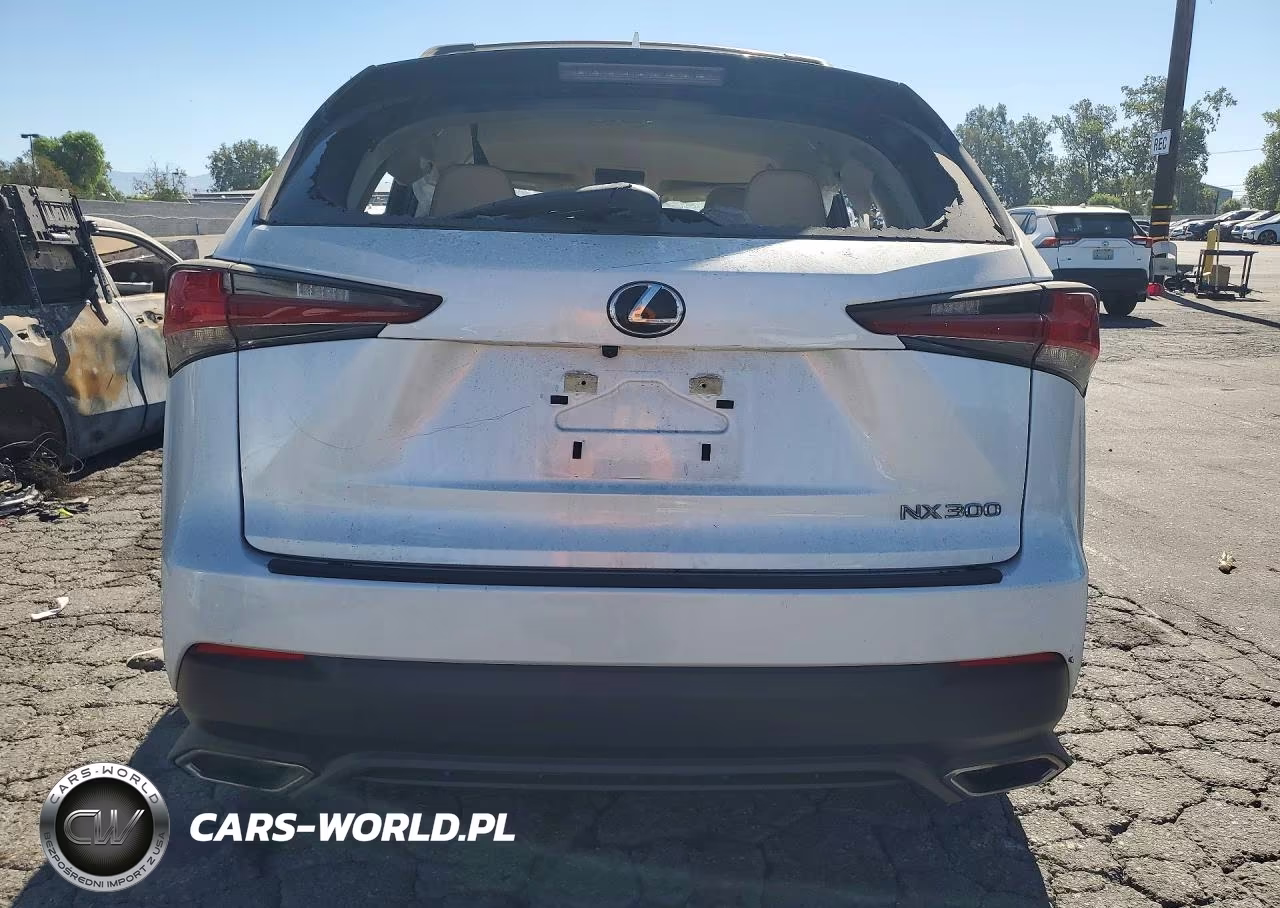 2020 Lexus Nx 300 Base VIN:JTJAARBZ6L5010294 - 6