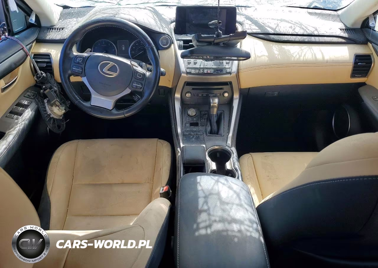 2020 Lexus Nx 300 Base VIN:JTJAARBZ6L5010294 - 8