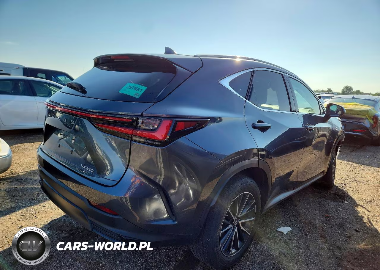 2022 Lexus Nx 250 VIN:2T2ADCAZ7NC001226 - 3