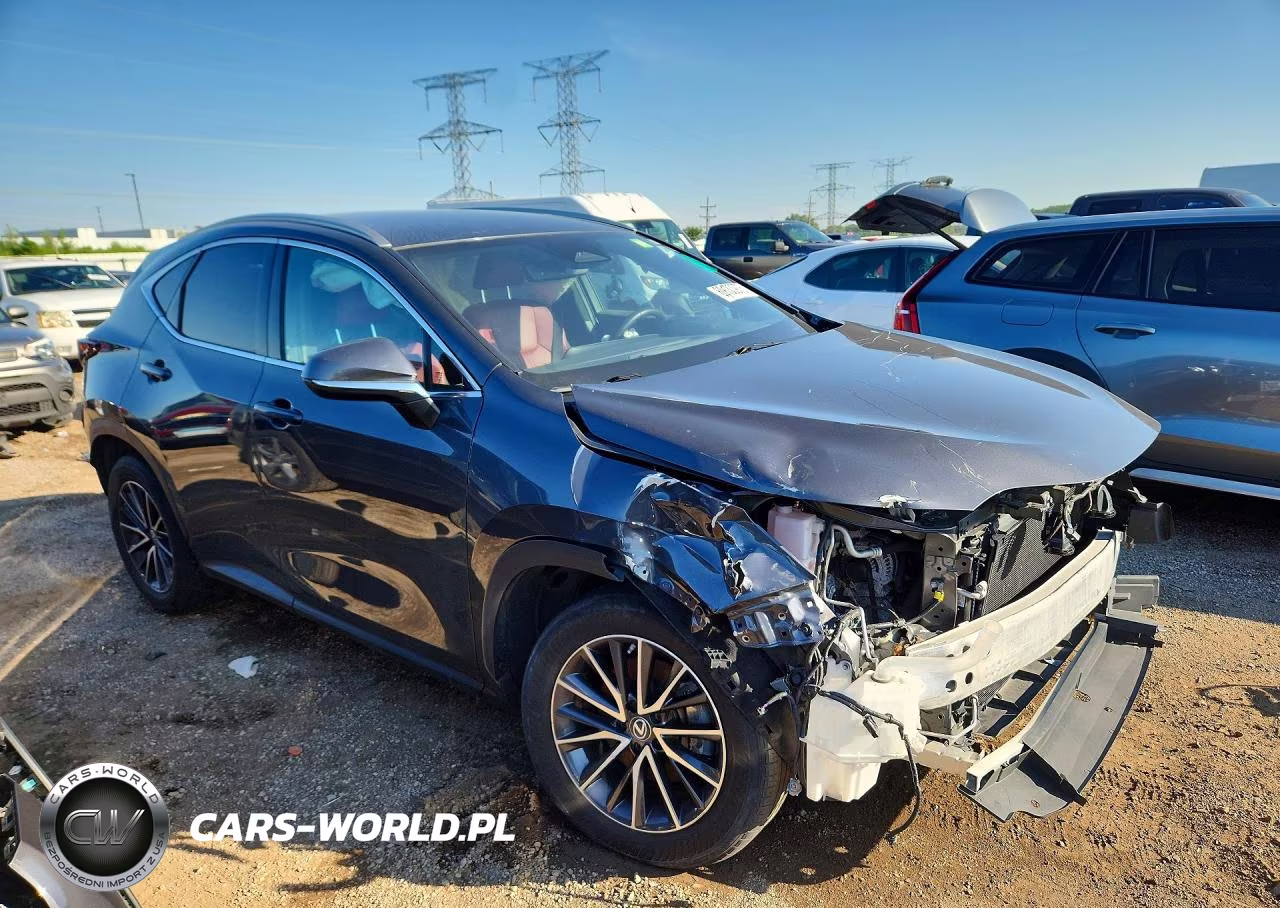 2022 Lexus Nx 250 VIN:2T2ADCAZ7NC001226 - 4