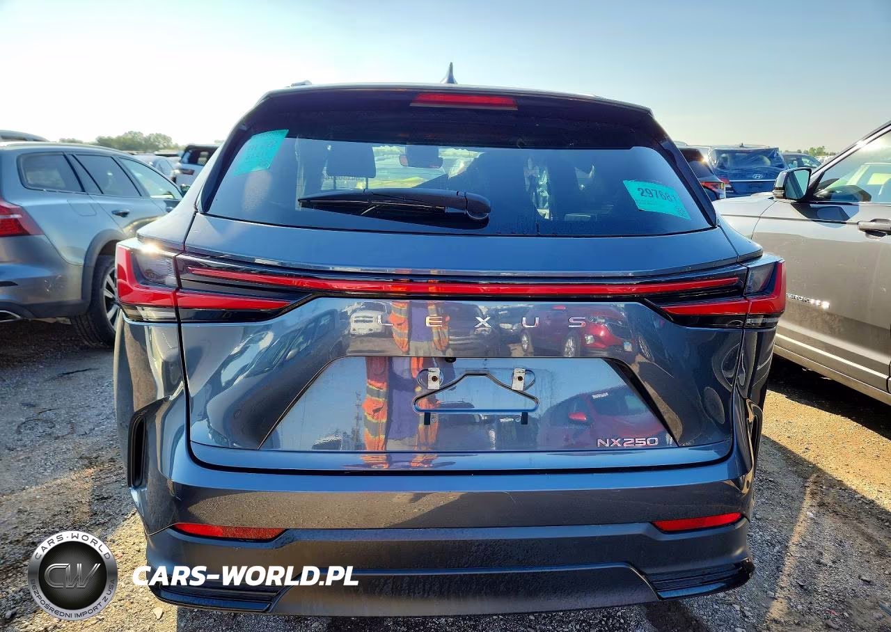 2022 Lexus Nx 250 VIN:2T2ADCAZ7NC001226 - 6