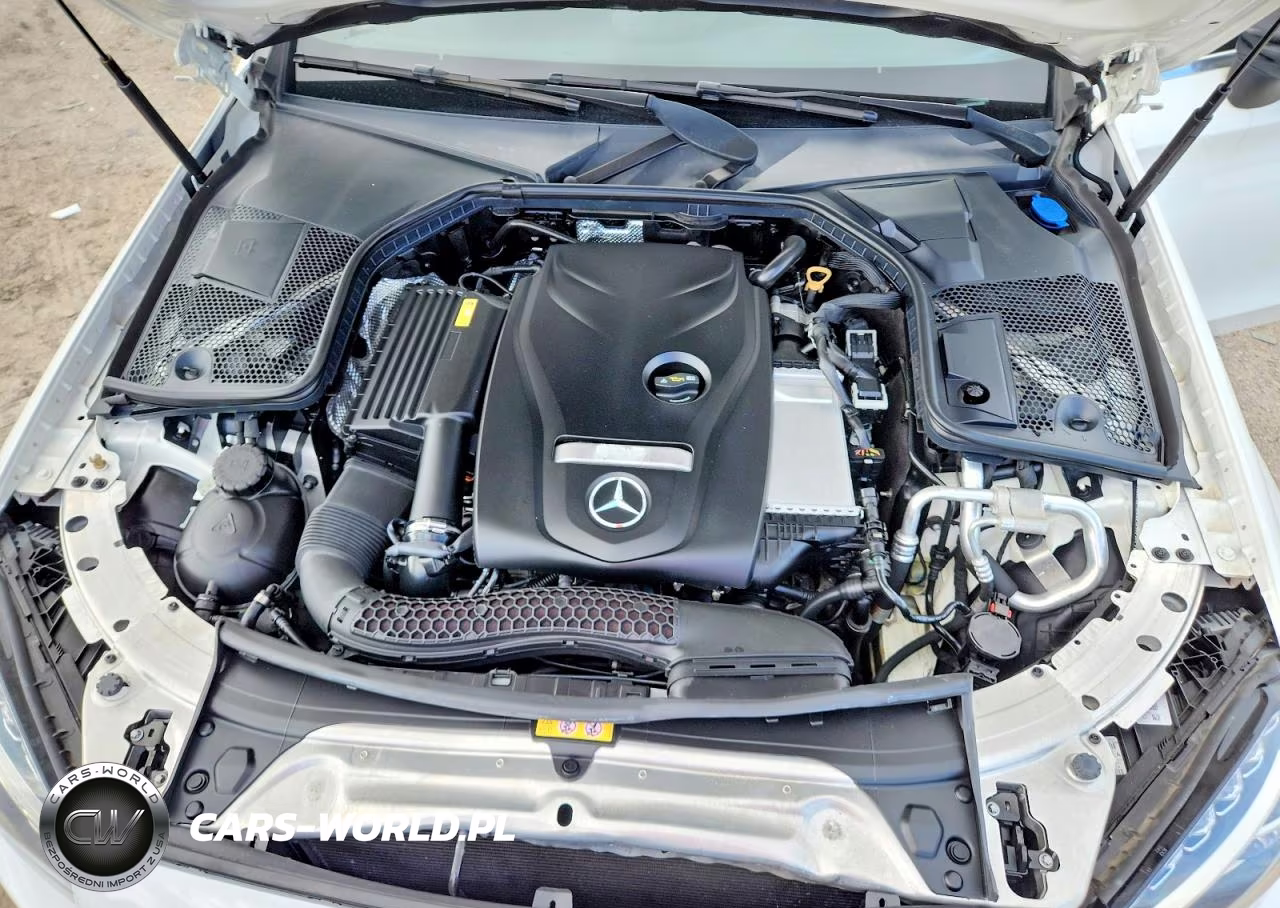 2017 Mercedes-Benz C 300 VIN:WDDWK4JB6HF518379 - 11