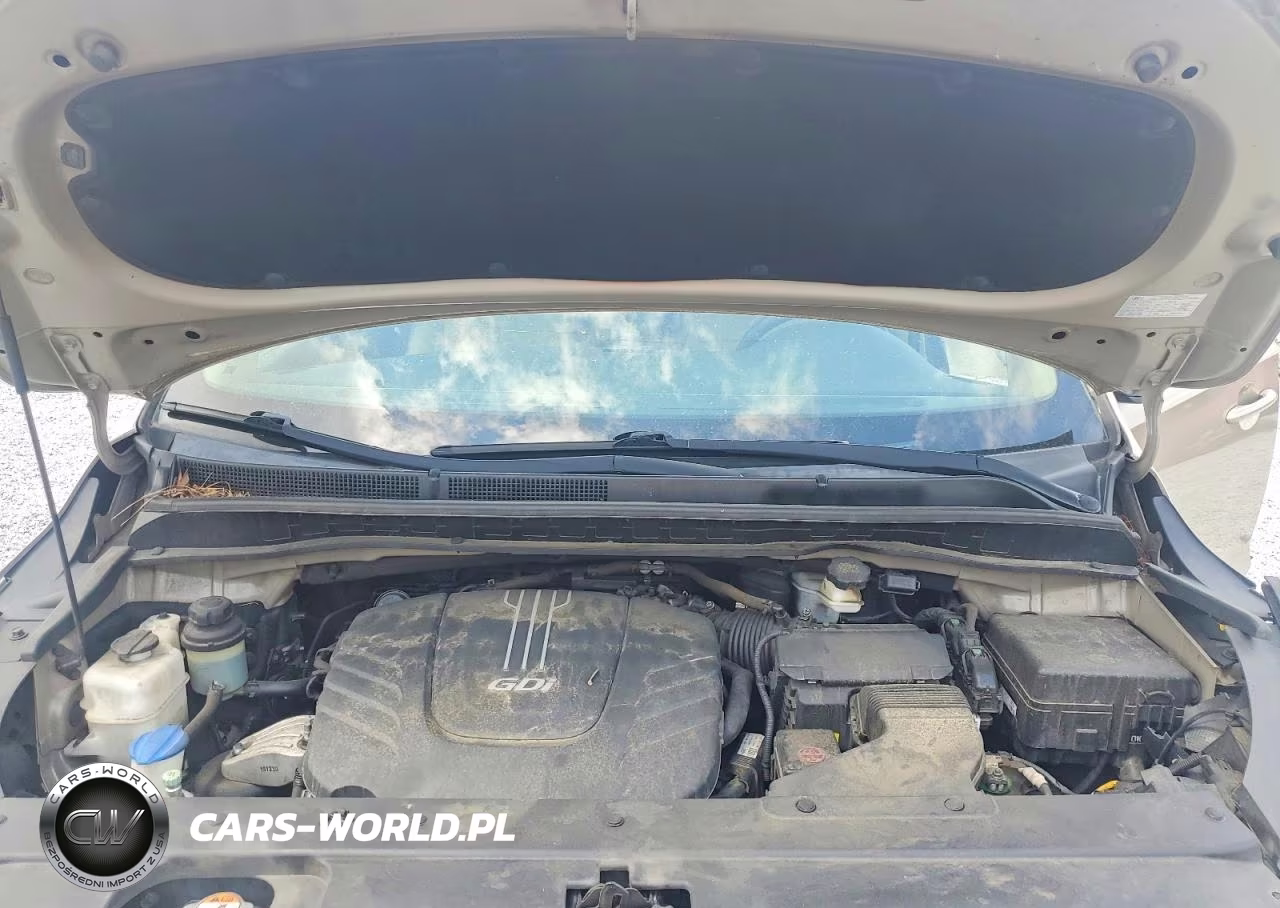 2016 Kia Sedona Lx VIN:KNDMB5C12G6200463 - 12