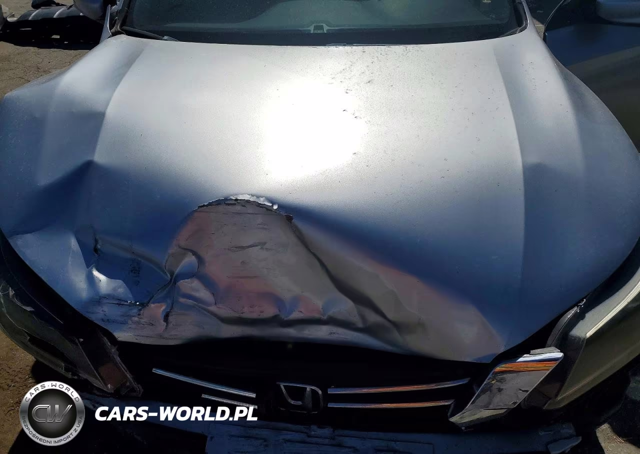 2013 Honda Accord Sport VIN:1HGCR2F54DA217750 - 11