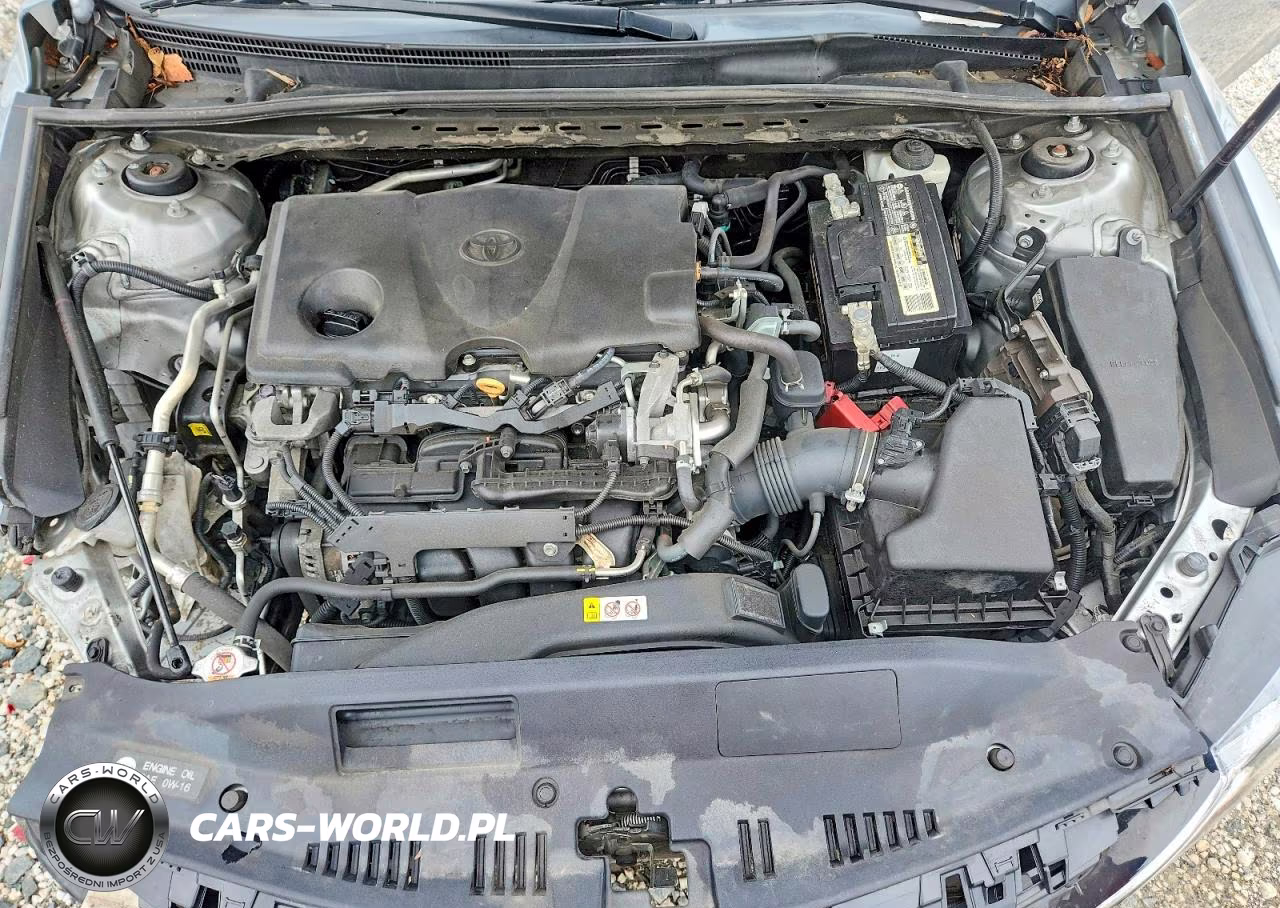 2020 Toyota Camry Le VIN:4T1C11AK0LU347126 - 11