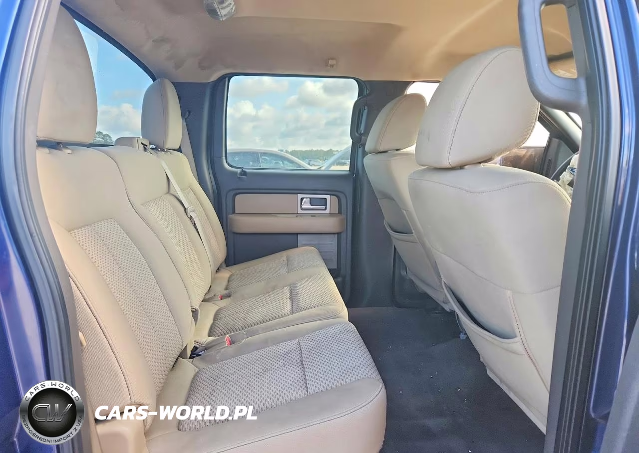 2010 Ford F150 Supercrew VIN:1FTEW1C85AKE15512 - 10