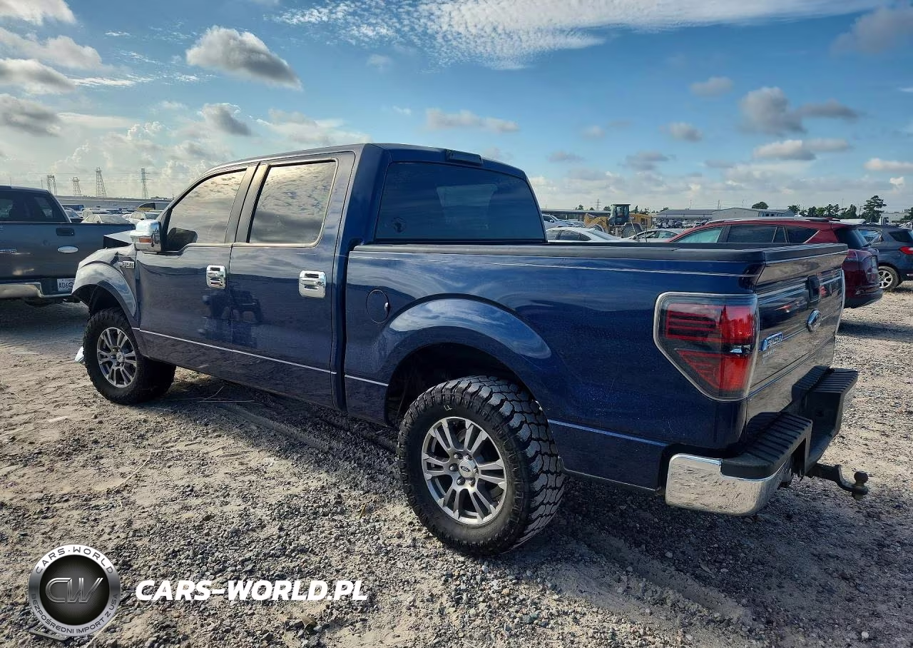 2010 Ford F150 Supercrew VIN:1FTEW1C85AKE15512 - 2