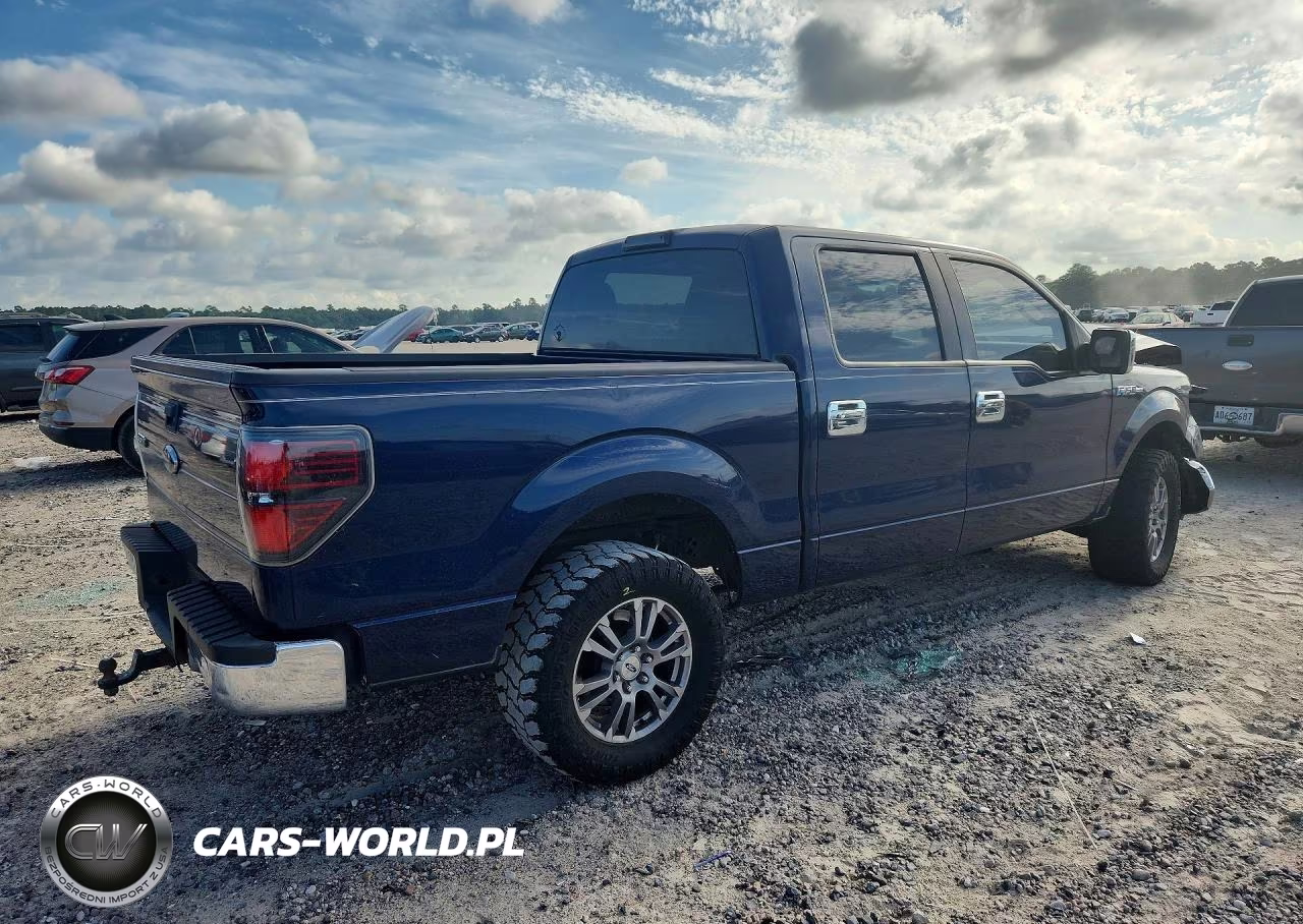 2010 Ford F150 Supercrew VIN:1FTEW1C85AKE15512 - 3