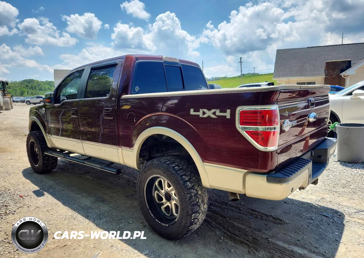 2009 Ford F150 Supercrew VIN:1FTPW14V99KB43216 - 2
