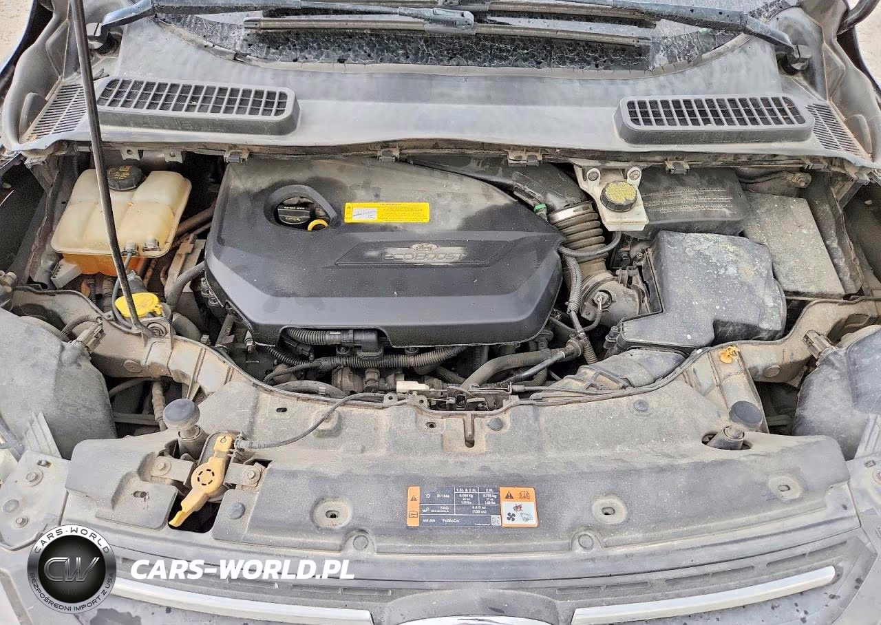 2015 Ford Escape Se VIN:1FMCU0GX2FUB96721 - 12