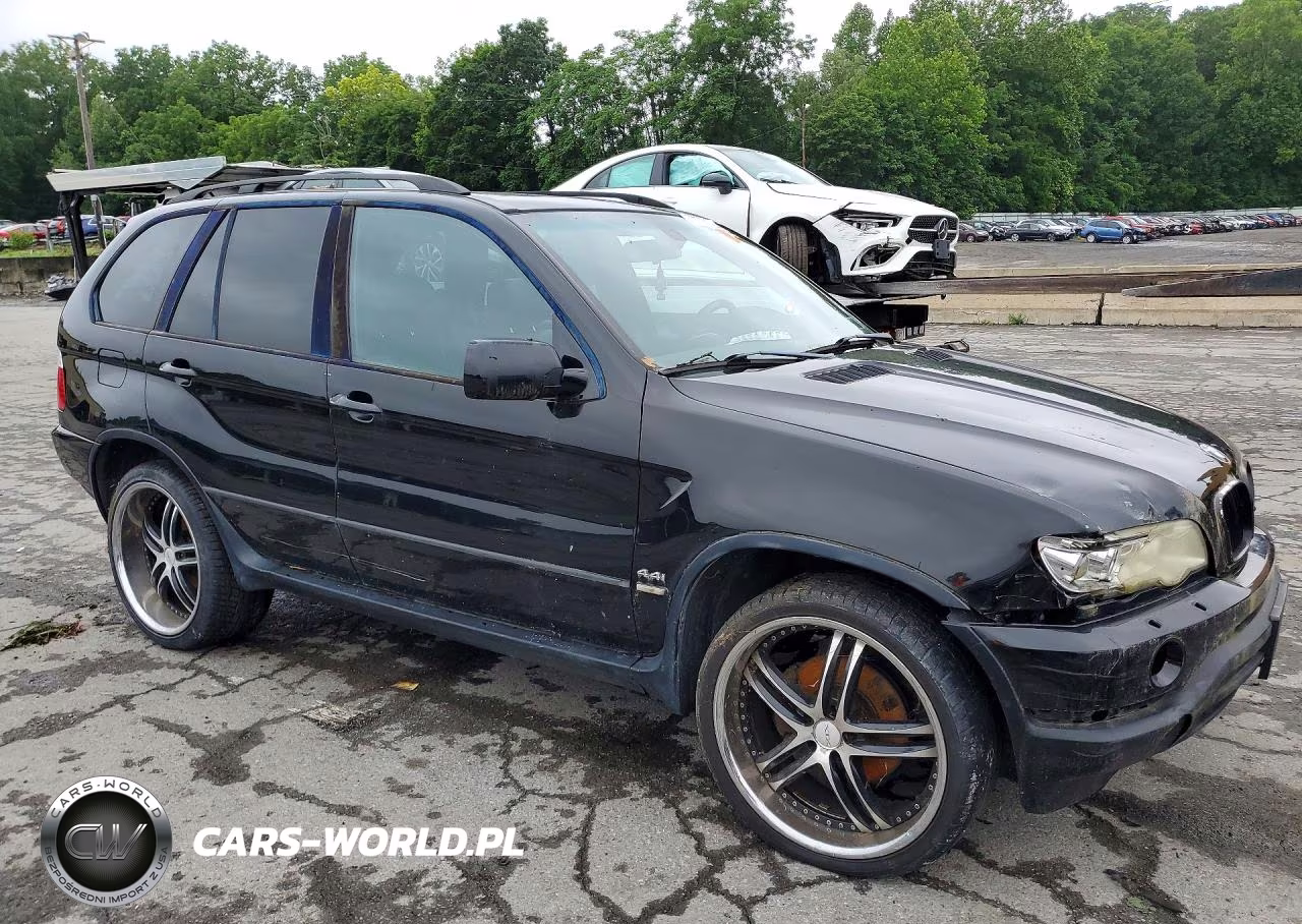 2001 BMW X5 4.4I VIN:WBAFB33521LH10420 - 4