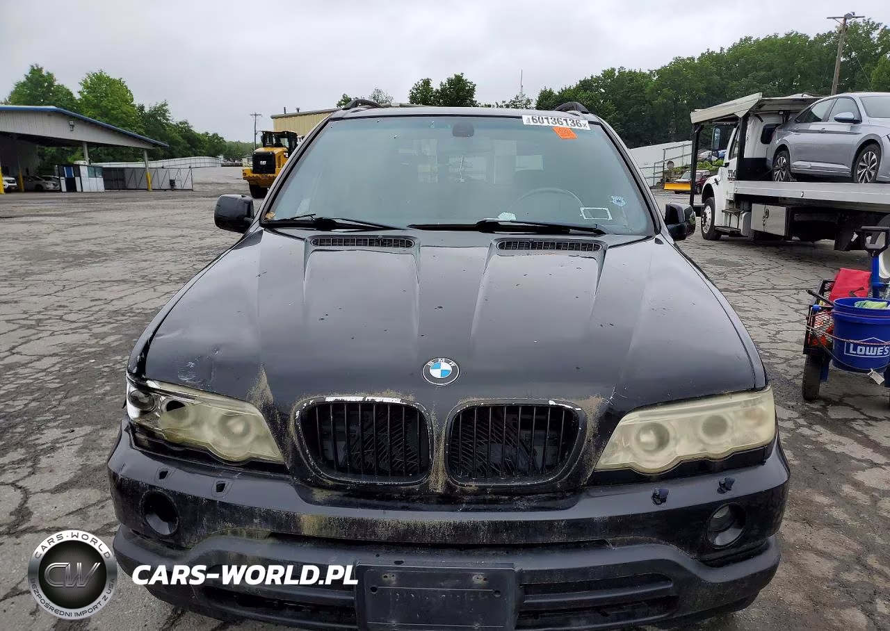 2001 BMW X5 4.4I VIN:WBAFB33521LH10420 - 5