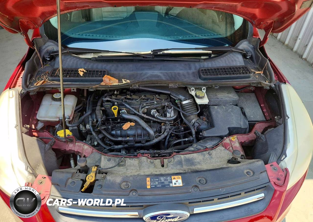 2014 Ford Escape Se VIN:1FMCU0GX2EUD69846 - 12
