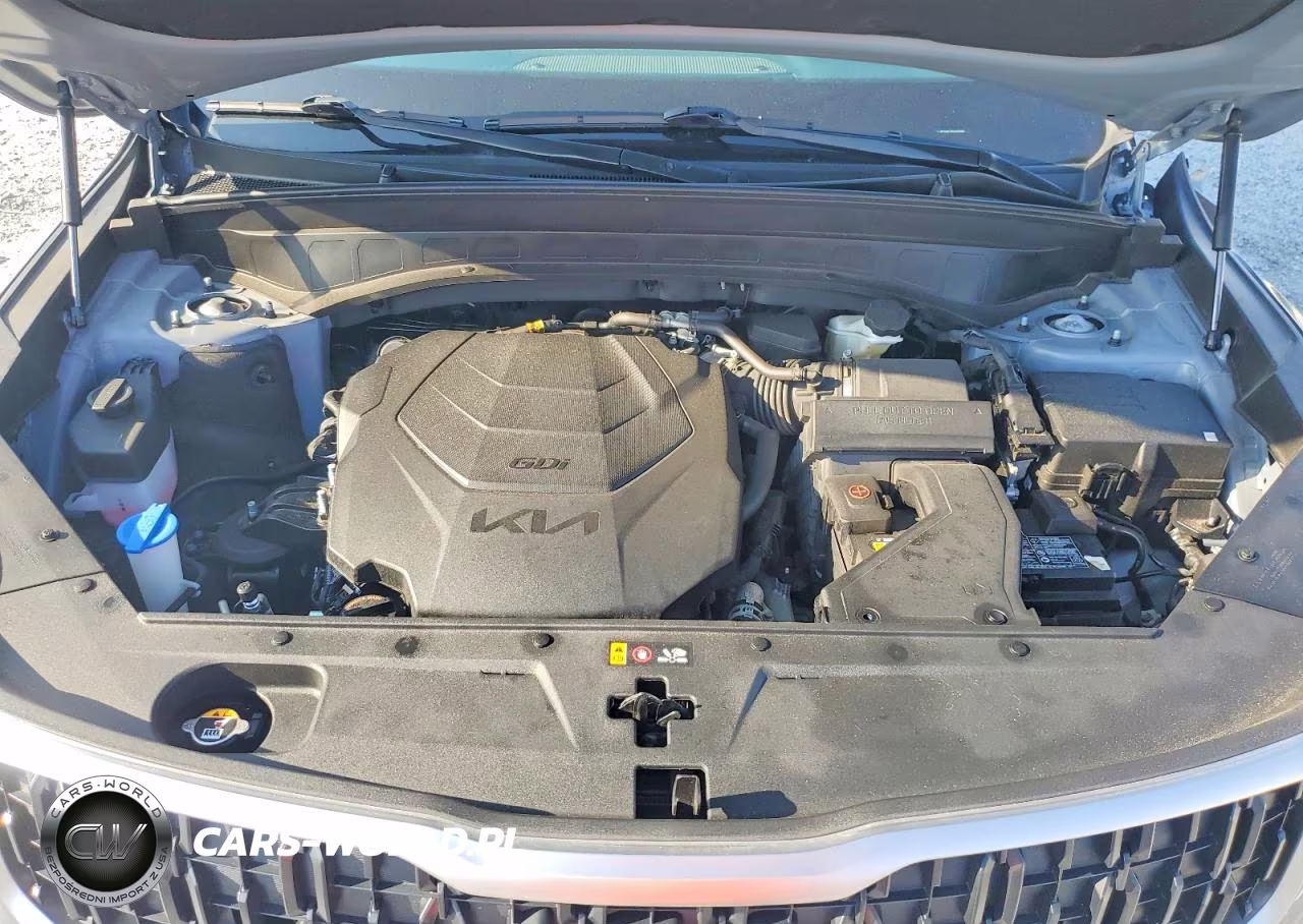 2023 Kia Telluride Ex VIN:5XYP34GC9PG328986 - 12