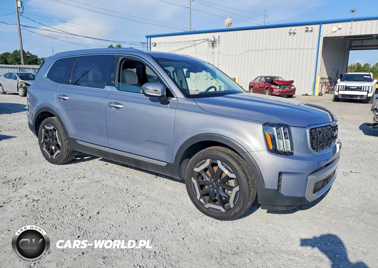 2023 Kia Telluride Ex VIN:5XYP34GC9PG328986 - 4