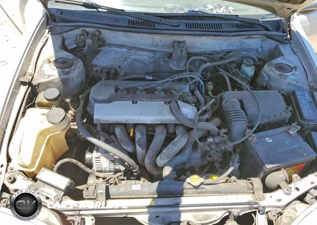 1999 Toyota Corolla Ve VIN:1NXBR12E6XZ174926 - 11