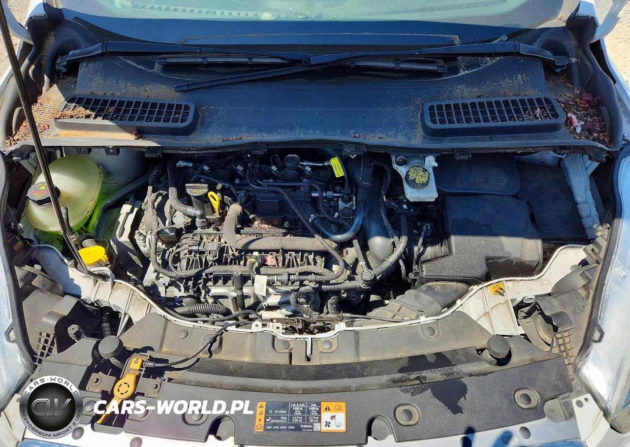 2017 Ford Escape Se VIN:1FMCU0GD1HUA54630 - 12