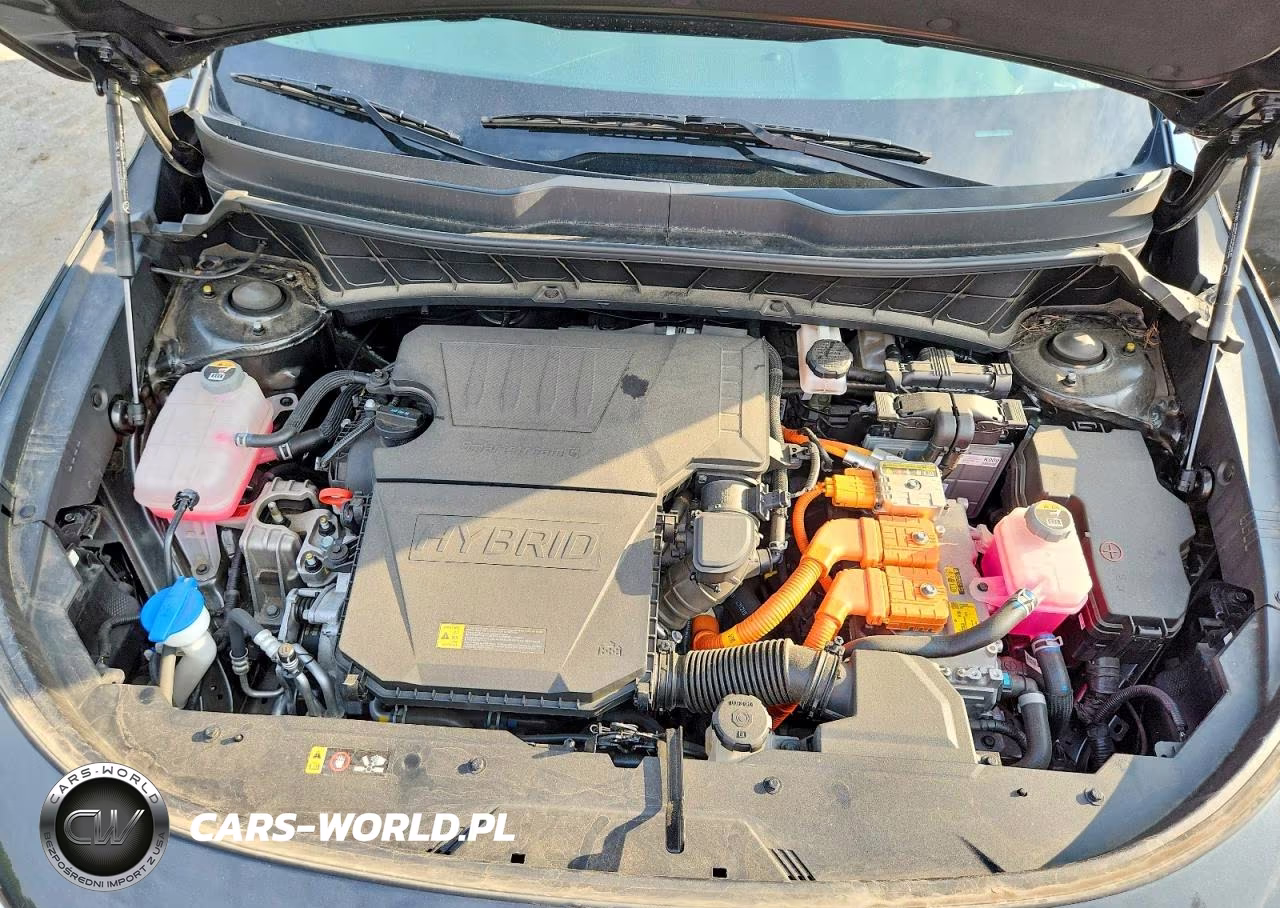 2024 Kia Niro Ex VIN:KNDCR3LE4R5162497 - 12