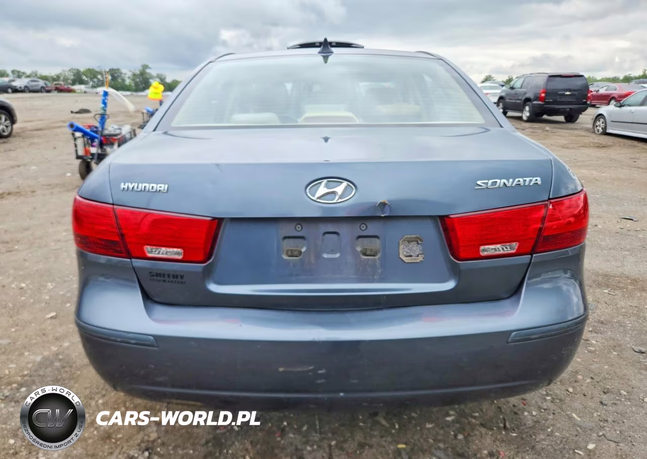 2010 Hyundai Sonata Gls VIN:5NPET4AC6AH654079 - 6