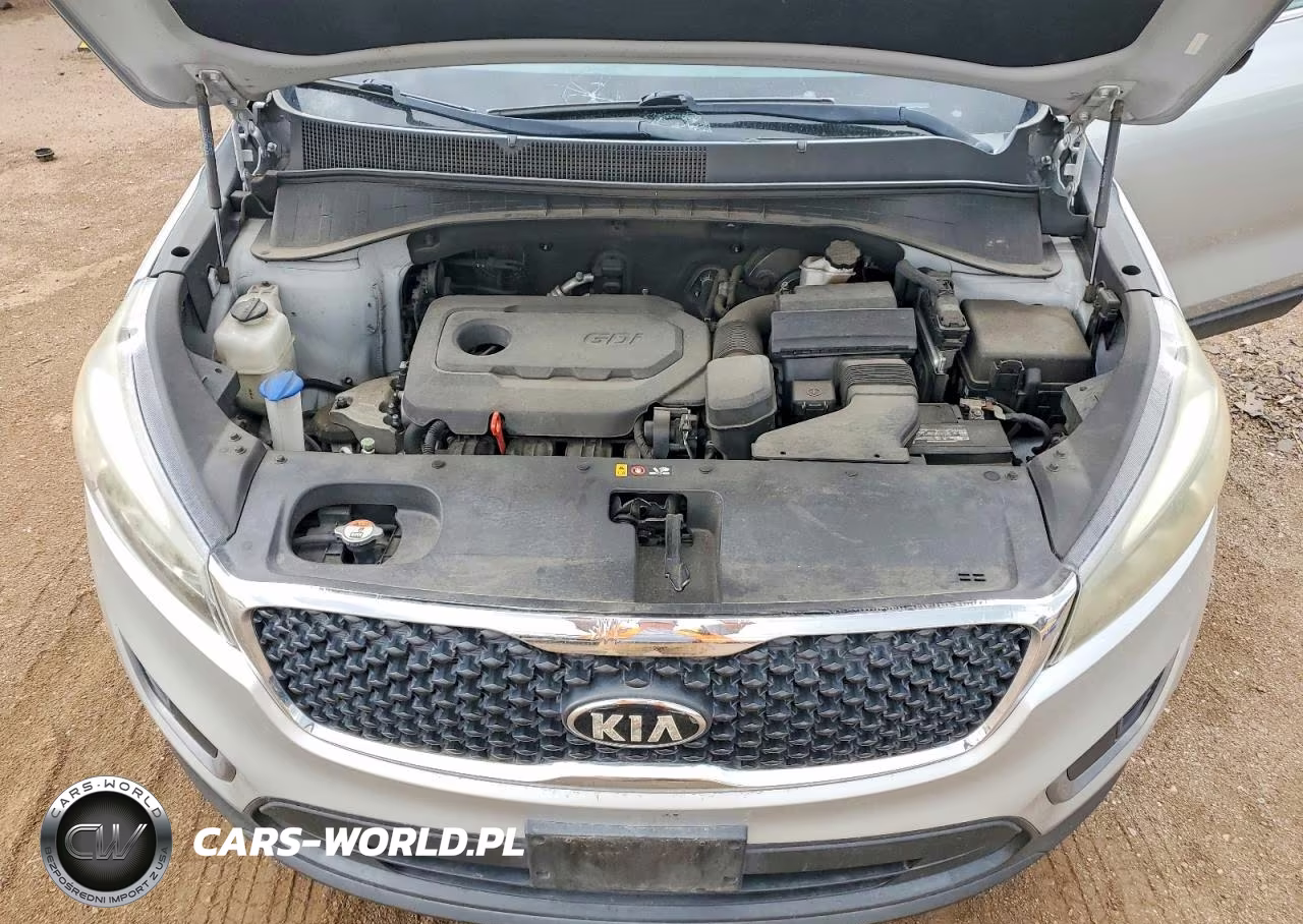 2017 Kia Sorento Lx VIN:5XYPGDA35HG204857 - 12