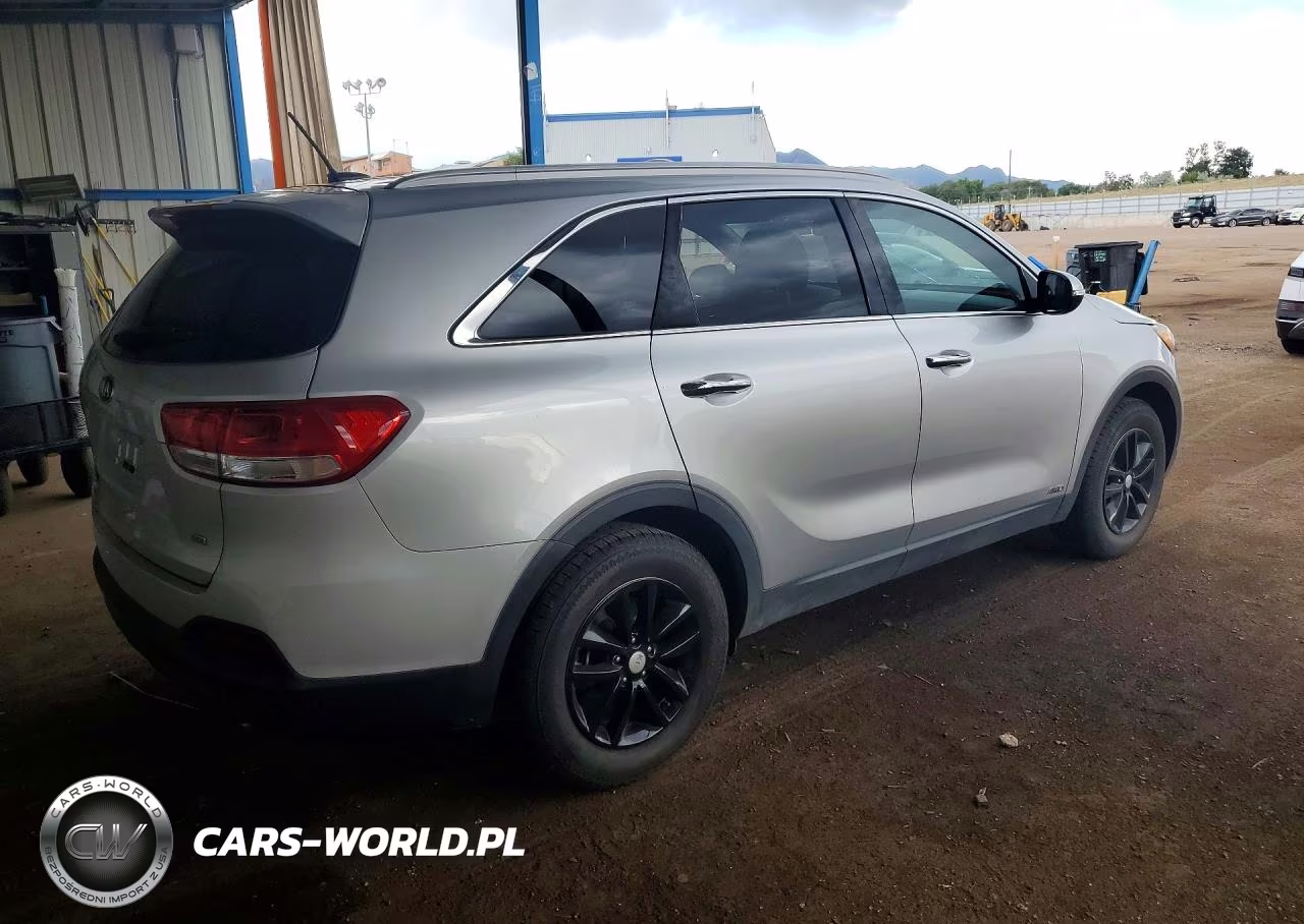 2017 Kia Sorento Lx VIN:5XYPGDA35HG204857 - 3